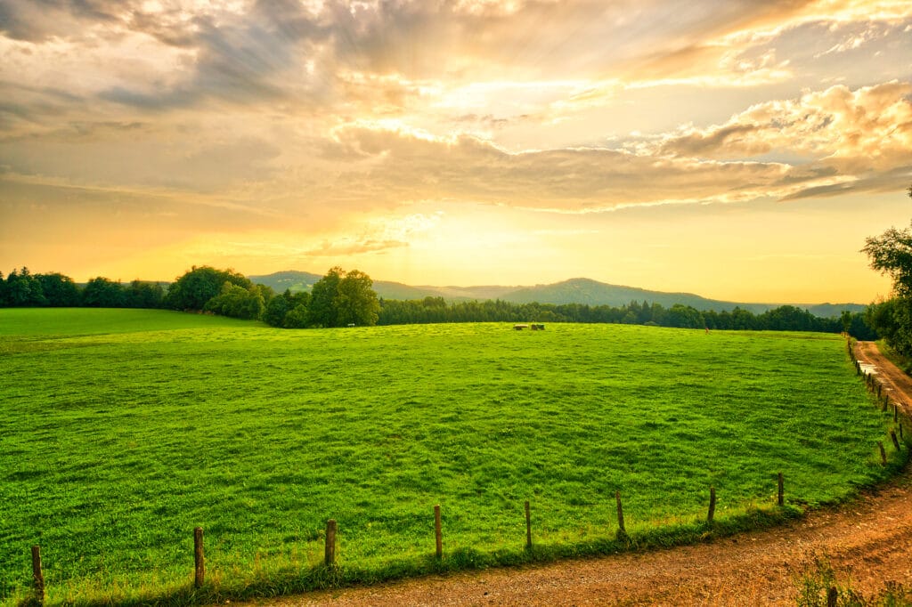 Farmland Sunset - Agribusiness Recruiting - Agricultural Appointments