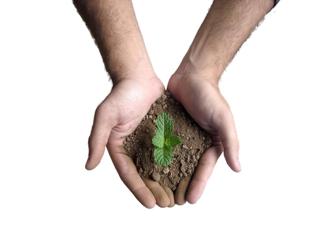 Hand Agribusiness Recruiting - Agricultural Appointments