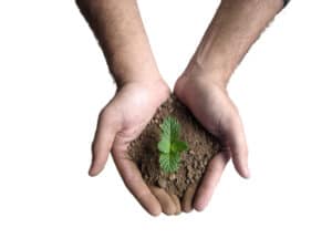 Hand Agribusiness Recruiting - Agricultural Appointments
