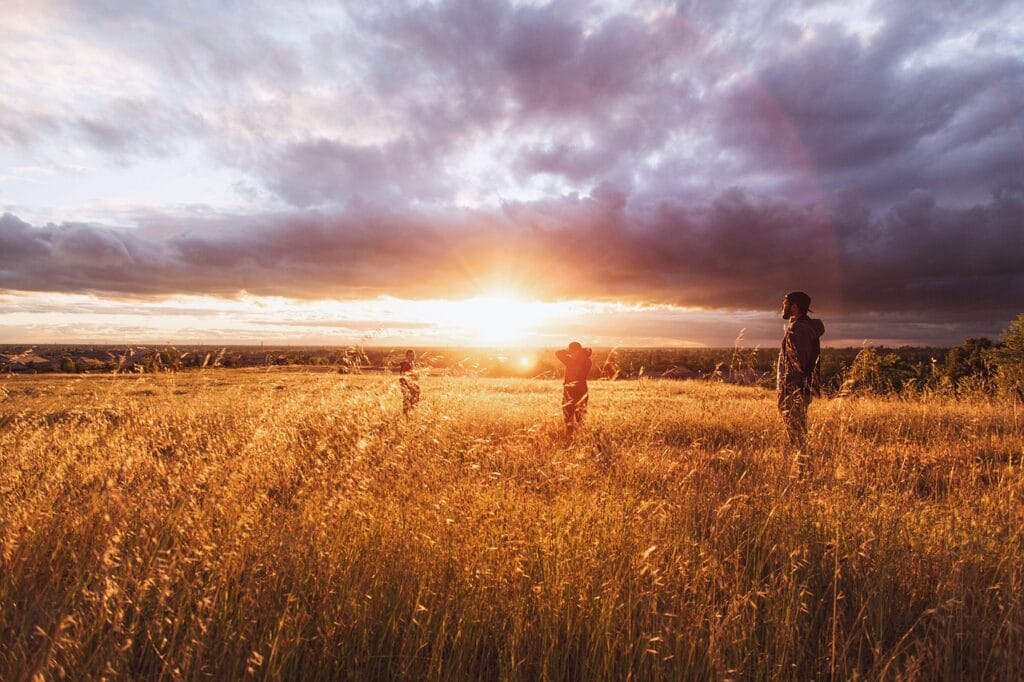 Sunset - Agribusiness Recruiting - Agricultural Appointments
