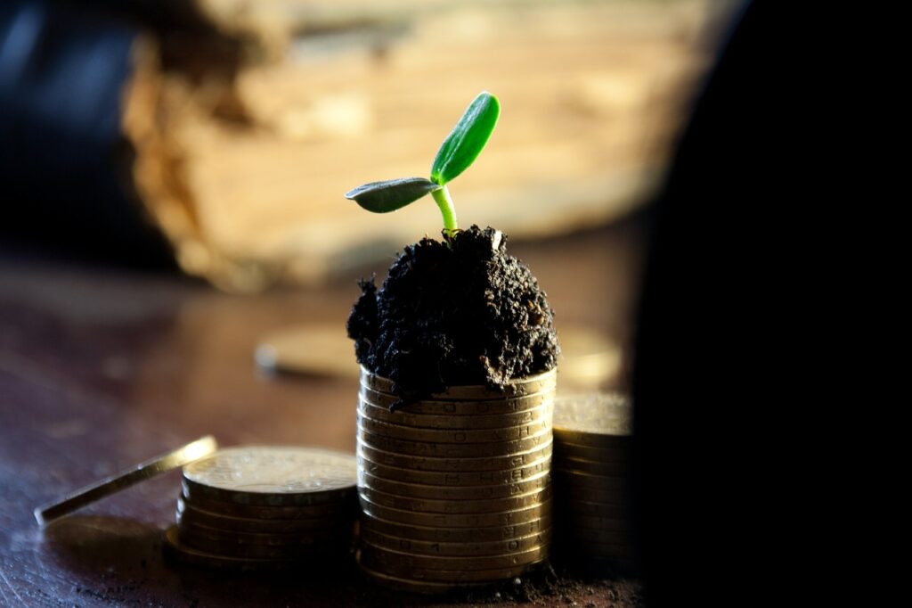 Seedling growing from soil atop stacked coins