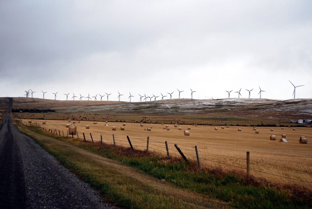 Hay bales in field beneath hillside wind turbines