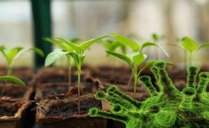 Self sufficiency - Agribusiness Recruiting - Agricultural Appointments