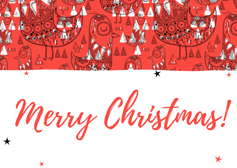SEASONS GREETINGS FROM US - Red Birds Christmas Seamless Pattern Christmas Art Card