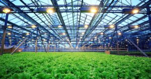 an indoor farm with plants