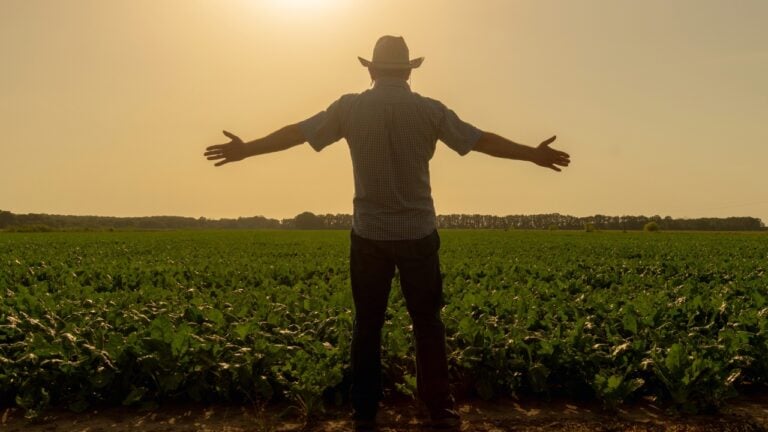 Farmer with outstretched arms in sunset field