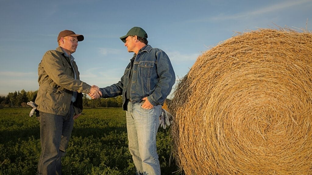 Senior and junior board members discussing agribusiness strategy in a rural office.