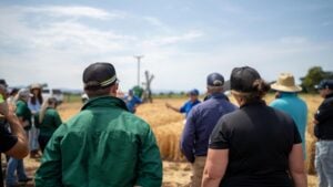 Managing Workforce Demand Across Multiple Harvest Windows with Candidate Pooling