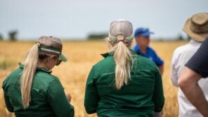 A group of agricultural workers wearing caps and long-sleeved shirts standing together in a golden crop field.