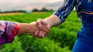 Close-up of two agricultural workers shaking hands in a green field.
